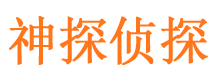 岳麓侦探公司